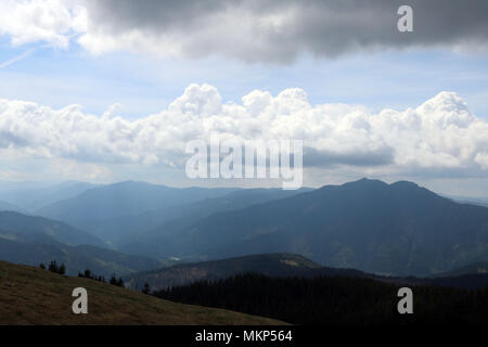 Natura, montagne e foreste in Bucovina, Romania Foto Stock