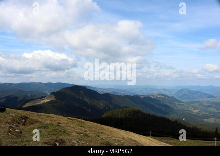 Natura, montagne e foreste in Bucovina, Romania Foto Stock