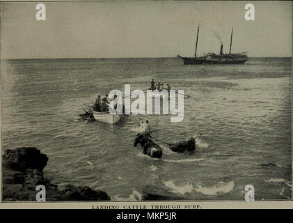 " Il paradiso del Pacifico: le isole hawaiane [risorsa elettronica]" (1900) Foto Stock