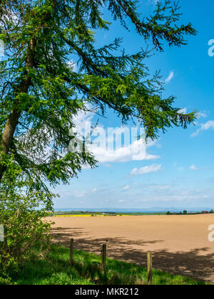 Vista agricolo attraverso ploghed campo sulla giornata di sole guardando verso Fife, Winton station wagon, East Lothian, Scozia, Regno Unito Foto Stock