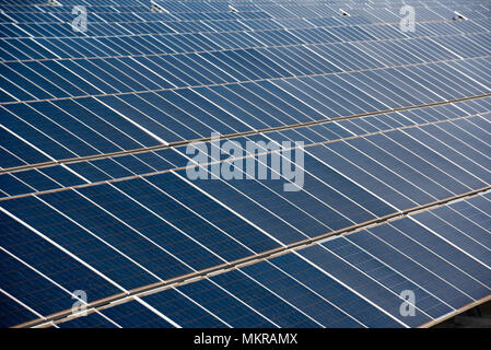 Close up di una fila di pannelli solari in un campo aperto con più pannelli fotovoltaici, Calasparra, Murcia, Spagna Foto Stock