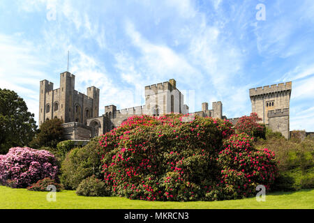 Penrhyn castello, un castello Neo-Norman in Llandygai, Bangor, Gwynedd, il Galles del Nord, Regno Unito, visto da giardini in primavera. Foto Stock