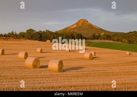 Vista di Roseberry Topping Yorkshire con balle di fieno in primo piano Foto Stock