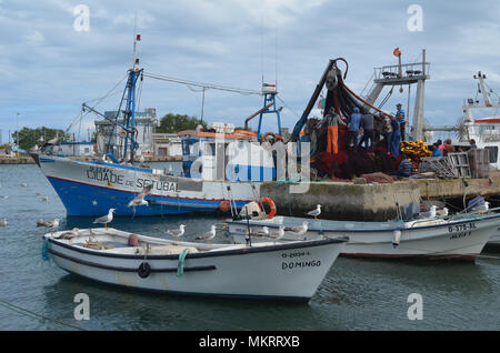 L'equipaggio di un portamonete con sciabica raccoglie le sue reti in Olhao porto di pescatori, Algarve, Portogallo meridionale Foto Stock