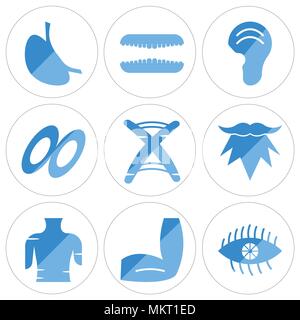 Set di 9 semplici icone modificabili quali donne ciglia, uomini a gomito femmina, tronco, barba, sequenza di DNA, piatti Stack, orecchio umano, denti, stomaco con Liq Illustrazione Vettoriale