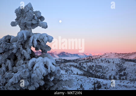 WA15362-00...WASHINGTON - Alba sul Chelan montagne dalla cresta di eco Nordic Ski Area nel Okanogan-Wenatchee National Forest. Foto Stock