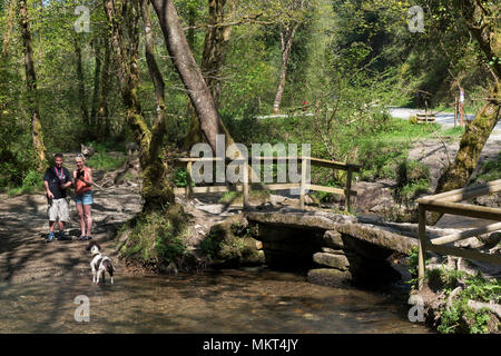 Signora vale bridge, cardinham boschi, Cornwall, Inghilterra, Regno Unito. Foto Stock