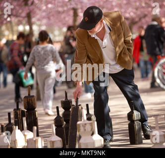 Stoccolma, Svezia - 30 Aprile 2012: un gioco di scacchi è giocato all'aperto sotto la fioritura ciliegi giapponesi, nel parco Kungstradgarden. Foto Stock