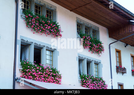 La vecchia casa decorata con caselle con un geranio, Gruyeres, Svizzera Foto Stock