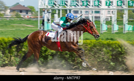 NALCHIK, RUSSIA - maggio 02,2018:Horse Racing per il premio del 'l'apertura stagionale di gara' in Pyatigorsk.Un cavallo piloti racing verso l'finishin Foto Stock