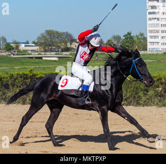 NALCHIK, RUSSIA - maggio 01,2018:Horse Racing per il premio del 'l'apertura stagionale di gara' in Nalchik.Avanti- master Murzabekov jockey sulla baia sta Foto Stock