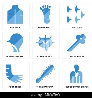 Set di 9 semplici icone modificabile come alimentazione di sangue sistema, tre batteri, ossa del piede, bronchioli, Lymphonodus, trachea umana, piastrine, piede, uomini Illustrazione Vettoriale