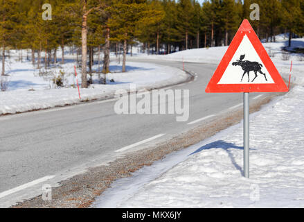 Norwegian cartello stradale attenti di alci. Foto Stock