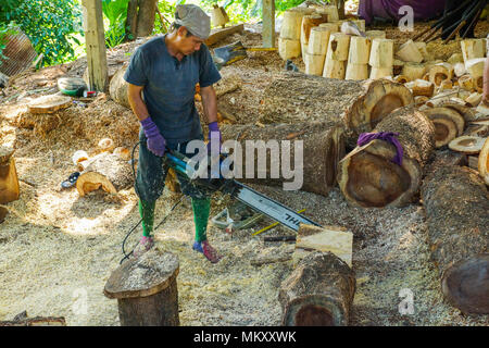 Lampang, Tailandia - 3 Novembre 2012: falegname il taglio di un pezzo di legno utilizzando la macchina sezionatrice per rendere mobili di legno in officina in Lampang, T Foto Stock