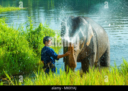 Lampang, Tailandia - 3 Novembre 2012: di addestramento come conduttore di elefanti elefante in elephant camp nel parco nazionale in Lampang, Thailandia Foto Stock