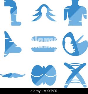 Set di 9 semplici icone modificabile come sequenza di DNA, cervelletto umano, grandi baffi, Feto, denti, naso, Femmina tronco, capelli, uomini Gamba, può essere utilizzata per Illustrazione Vettoriale