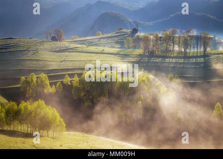 Bella estate sunrise in Apuseni Montagne, Romania Foto Stock