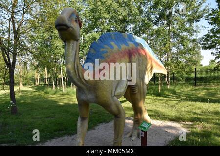 Lubin, Polonia. 8 Maggio, 2018. Maggio 08.2018 Lubin Polonia Parco Dinosauri in Polonia Parazaurolaf Credito: Piotr Twardysko/ZUMA filo/Alamy Live News Foto Stock