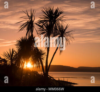 Lyme Regis, Dorset, Regno Unito. Il 9 maggio 2018. Regno Unito: Meteo iconici lampade stradali e gli alberi si stagliano contro il bagliore arancione del cielo come il sole sorge oltre la Jurassic Coast a Lyme Regis su un altro bene e la mattina di sole. Tempo fresco più tardi porterà e fine all'ondata di calore che molti hanno apprezzato questa settimana. Credito: Celia McMahon/Alamy Live News. Foto Stock