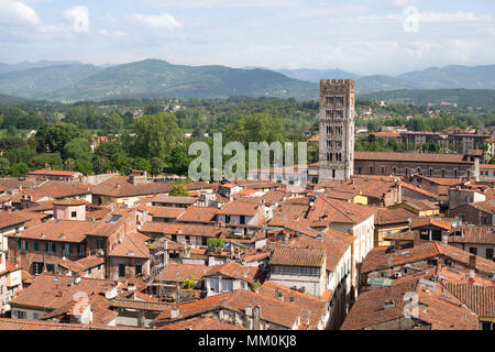 Vista dalla cima della Torre delle Ore, Lucca, Toscana, Italia, Europa Foto Stock