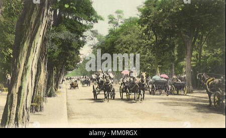 Il Bois de Boulogne. Parigi. 1915 Foto Stock