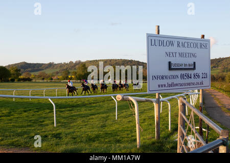 Ludlow Race Course, Shropshire, Inghilterra. Corsa di cavalli attorno alla pista durante una serata a metà settimana di gara. La pubblicità della scheda la gara in primo piano. Foto Stock