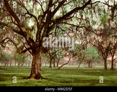 Vecchio scontrarsi Massa al parco della città. New Orleans. 1903 Foto Stock