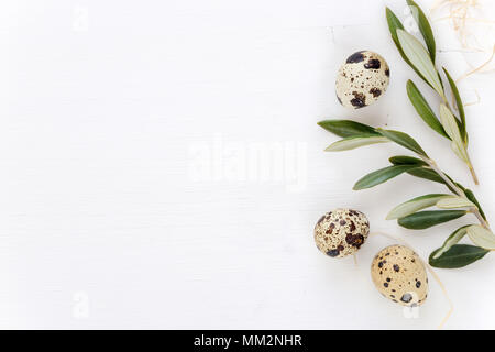 Concetto di pasqua. Telaio di pasqua per il vostro banner con olivo rami e uova di quaglia su bianco sullo sfondo di legno Foto Stock