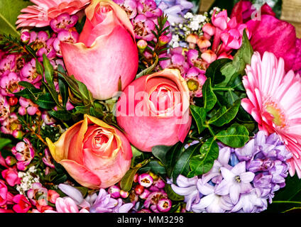 Colorato mazzo di fiori di rosa Eden rose e gerbere margherite Foto Stock