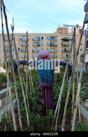 Urban orto riparto con lo spaventapasseri in Barcellona Foto Stock