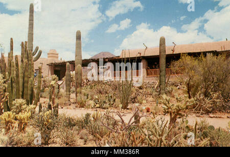Arizona Sonora Desert Museum. Tucson. 1959 Foto Stock
