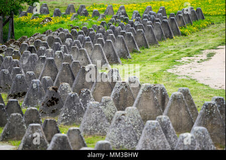 Dragon's denti della Germania nazista Festungsfront Oder-Warthe-Bogen (fortificato Oder-Warthe anteriore-Bogen) chiamato in polacco il Miedzyrzecki Rejon Umocniony MR Foto Stock