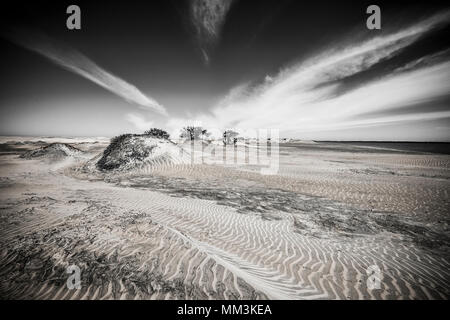 Dune di sabbia en Bahia Magdalena bay nella penisola della Baja California nel nord del Messico Foto Stock