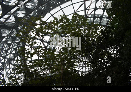 Rainforest Dome serra in Taichung il giardino botanico Foto Stock