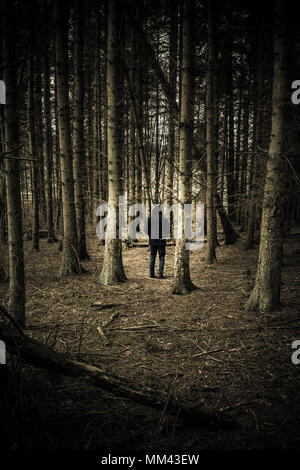 Uomo in piedi in mezzo agli alberi, toni di marrone Foto Stock