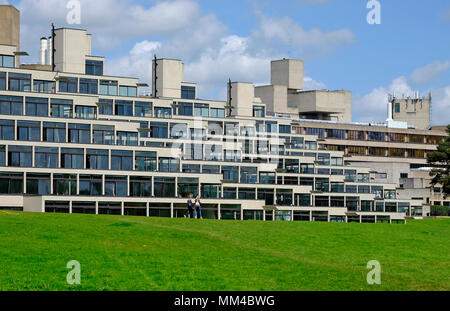 Student Accommodation, UEA, Norwich, Norfolk, Inghilterra Foto Stock