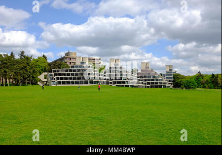 Student Accommodation, UEA, Norwich, Norfolk, Inghilterra Foto Stock