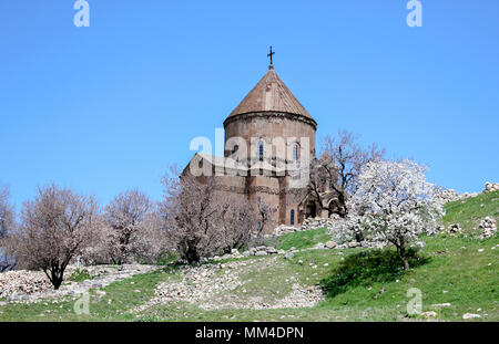 Isola di Akdamar, Van, Turchia Foto Stock