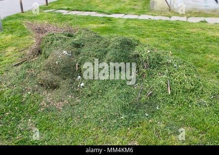 Grande pila di taglio fresco verde erba in posizione di parcheggio Foto Stock