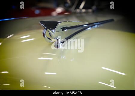 Ornamento del cofano su un vecchio Packard classic car Foto Stock