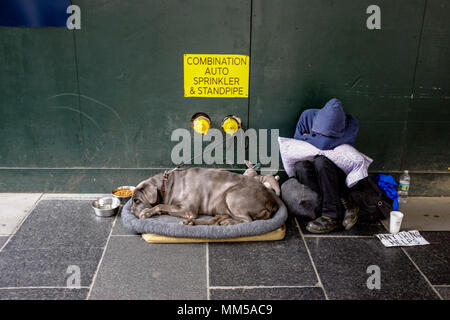 Un senzatetto e il suo cane di riposo durante il giorno a Manhattan, New York City il 6 maggio 2018. Foto Stock