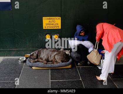 Un senzatetto e il suo cane di riposo durante il giorno a Manhattan, New York City il 6 maggio 2018. Foto Stock