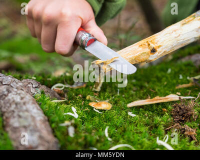 Ragazza carving un blocco di legno utilizzando il coltello nella foresta nera, Feldberg, Baden-Württemberg, Germania Foto Stock