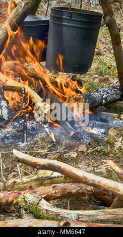 Picnic al cordolo. Pranzo turistico, escursioni, turismo giovanile, la gioventù di viaggio. Pentole sul fuoco fotografato, incandescente vapore e fumo, pasto affumicato Foto Stock