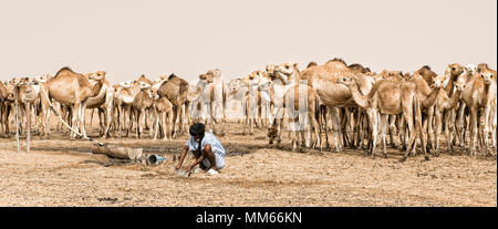 Uomo con i cammelli nel deserto Saharah Foto Stock