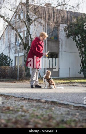 Vecchia donna e cane permanente sulla strada con il giocattolo Foto Stock