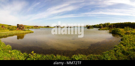 Kalfastrond scultura di lava intorno al Lago Myvatn, Islanda Foto Stock