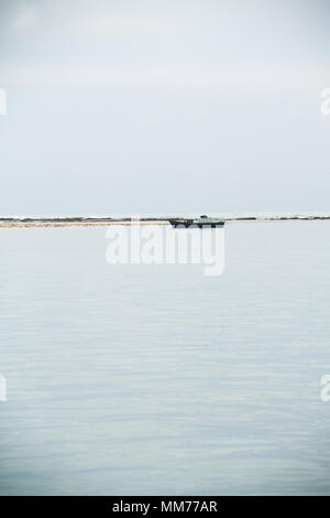 Vista della zona Vermelha Isola, Areia Vermelha beach, Areia Vermelha stato marino Park, Cabedelo, Paraiba, Brasile Foto Stock