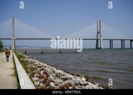 Ponte Vasco de Gama, visto dal Tage banche, Parco delle nazioni, Lisbona, Portogallo Foto Stock