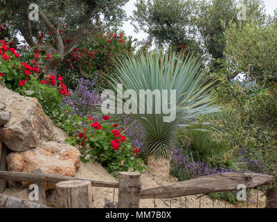 Malvern, Worcestershire, Regno Unito. Mercoledì 9 maggio 2018 Malvern, Worcestershire, Regno Unito. Billy's Cave dal Villaggio Verde - Medaglia d'oro. È anche possibile soddisfare le capre pygmie su questo giardino. Credito: Ian Thwaites/Alamy Live News Foto Stock